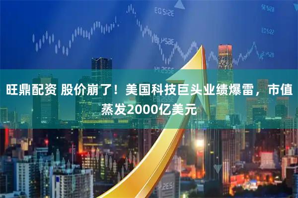 旺鼎配资 股价崩了！美国科技巨头业绩爆雷，市值蒸发2000亿美元