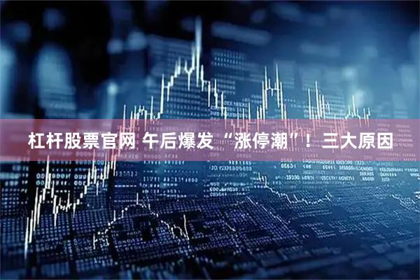 杠杆股票官网 午后爆发 “涨停潮”！三大原因