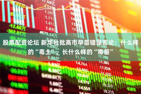 股票配资论坛 新华社批高市早苗错误言论：什么样的“毒土”，长什么样的“毒苗”
