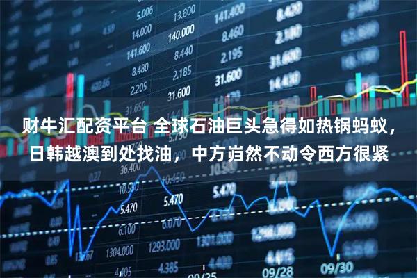 财牛汇配资平台 全球石油巨头急得如热锅蚂蚁，日韩越澳到处找油，中方岿然不动令西方很紧